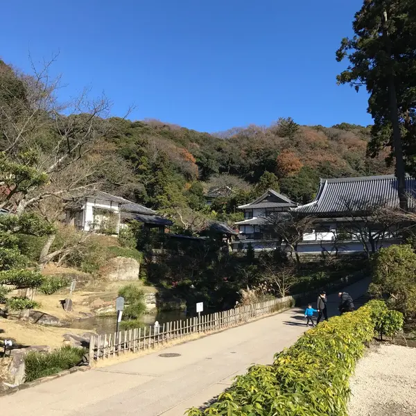 円覚寺のお庭