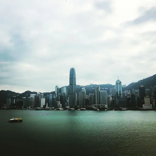 屋上庭園