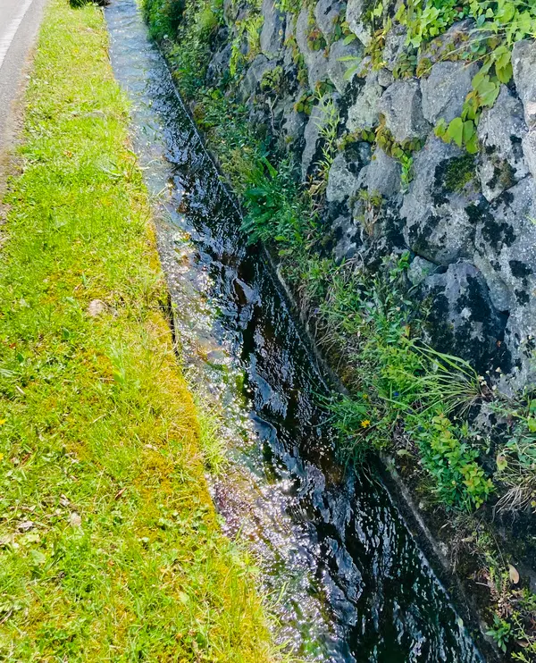 お店前の水路