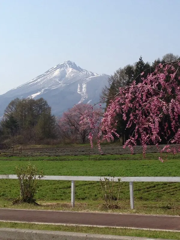 春の磐梯山