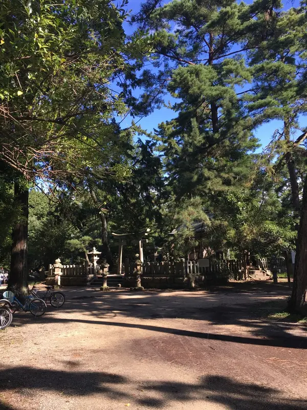 松並木と天橋立神社