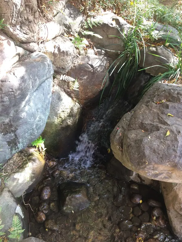 湧き水 の 元