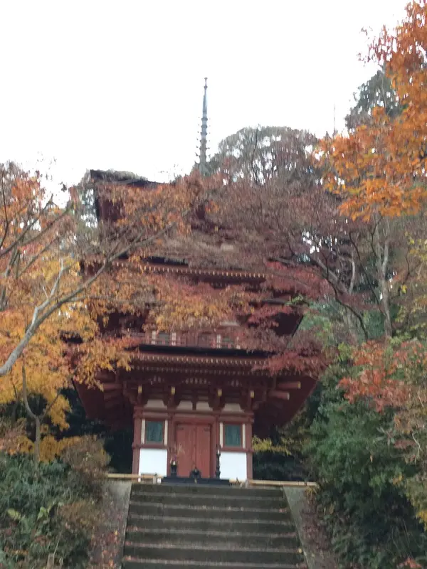 浄瑠璃寺 の 三重の塔