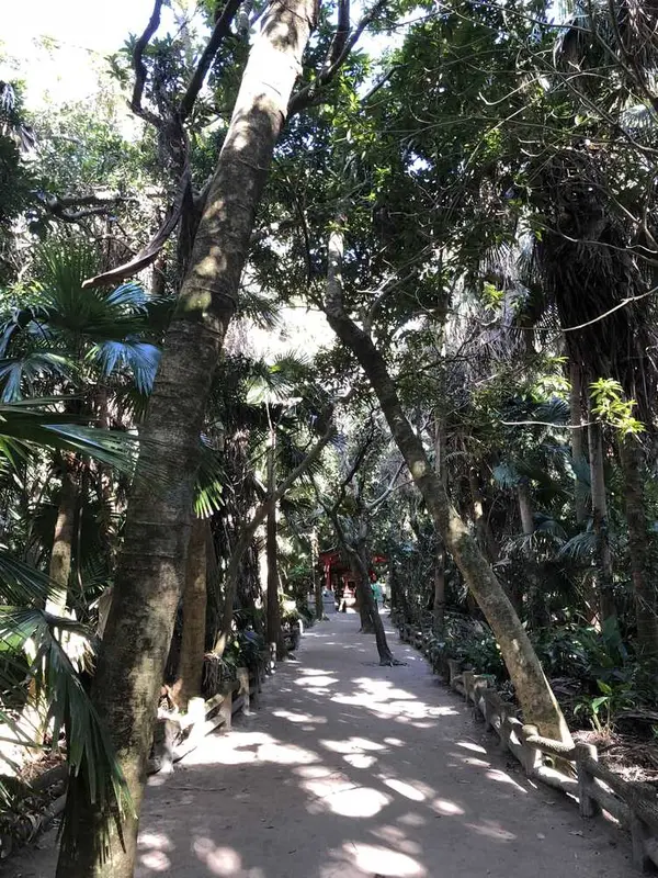 熱帯林神社