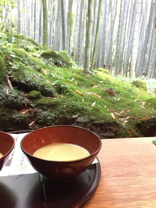 竹林を眺めながら抹茶