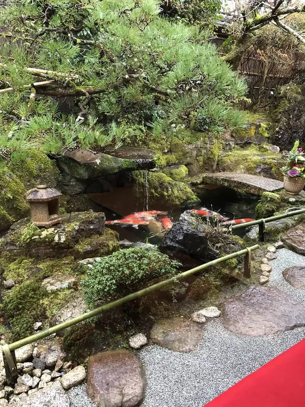 池の鯉の泳ぐ素敵な日本庭園