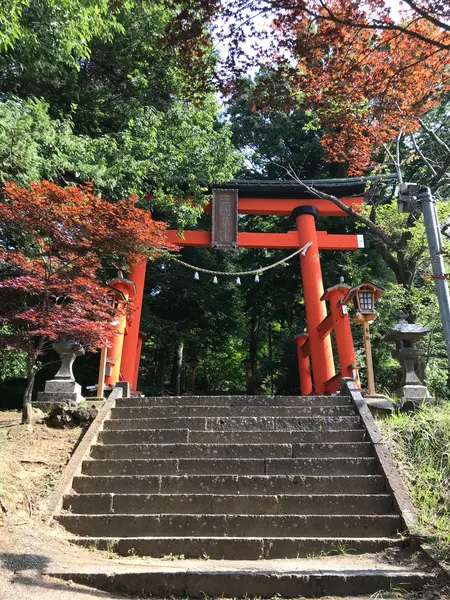 新倉富士浅間神社の大鳥居