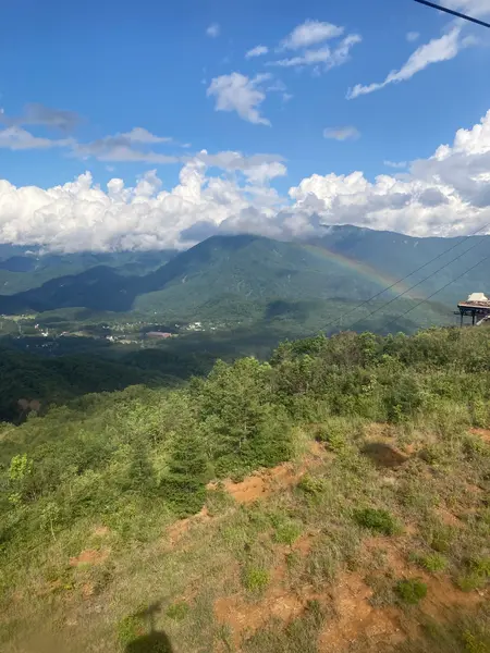 虹も見れました🌈