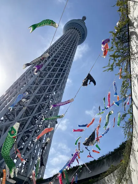 スカイツリーと鯉のぼり