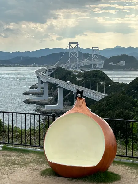 おっ玉チェアー
