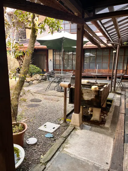 お店の中は中庭のようになってます