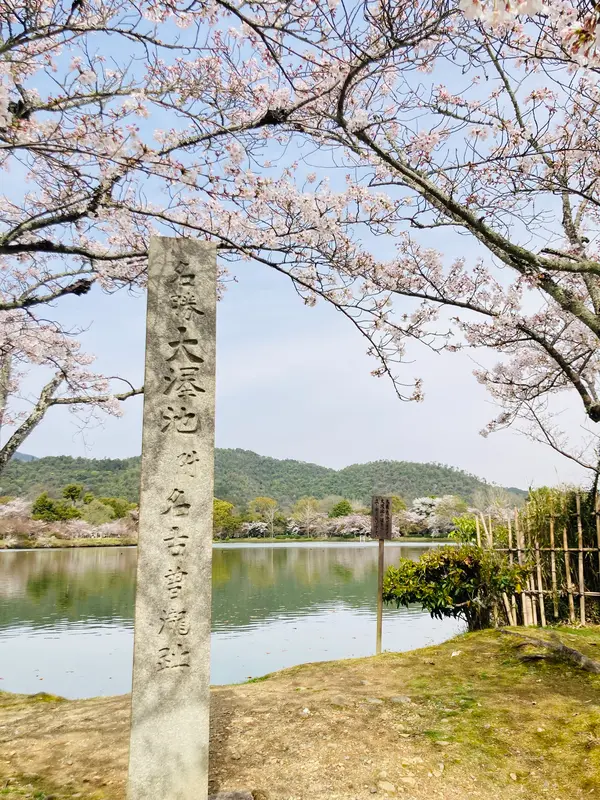 大澤の池