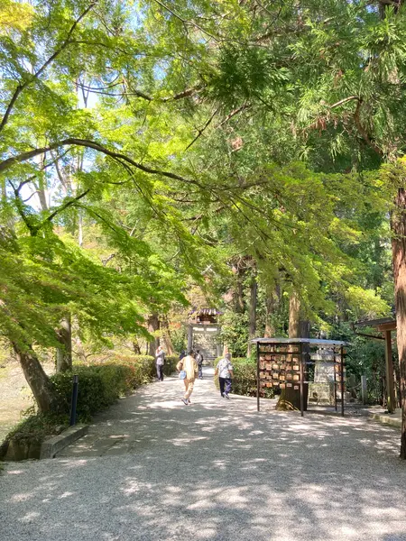 緑豊かな参道