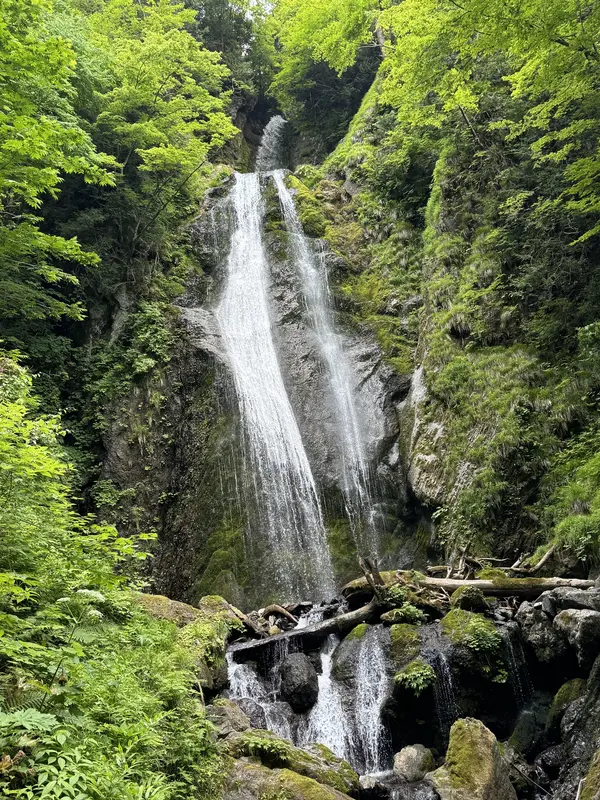 回顧の滝