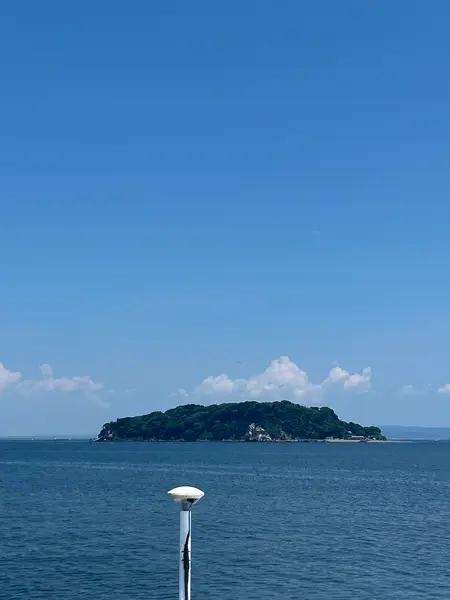 船中から撮影した猿島
