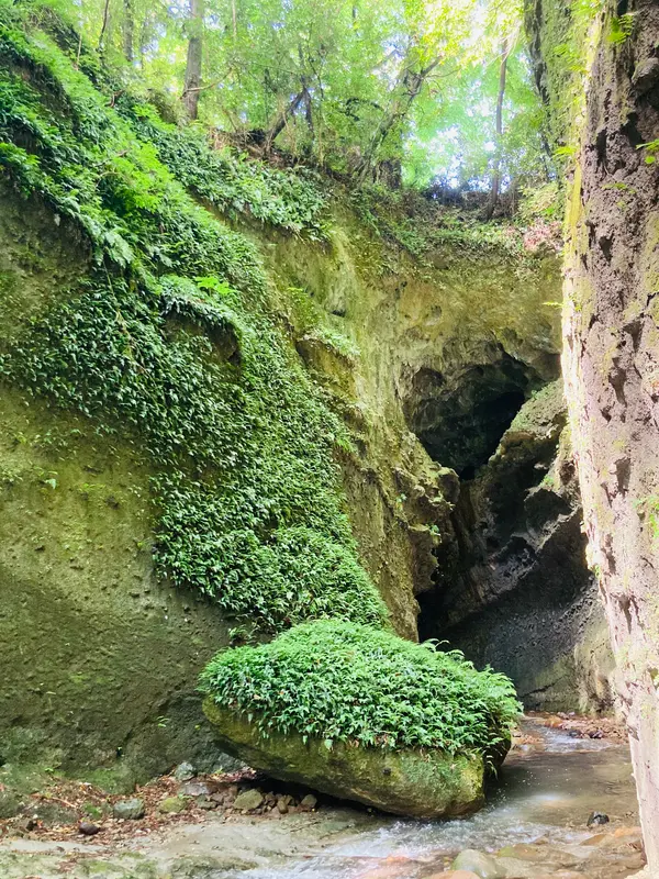貝の化石が見つかるかも