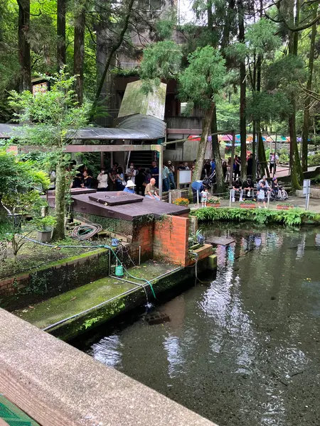 山の中