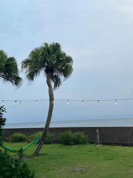 足湯もあります