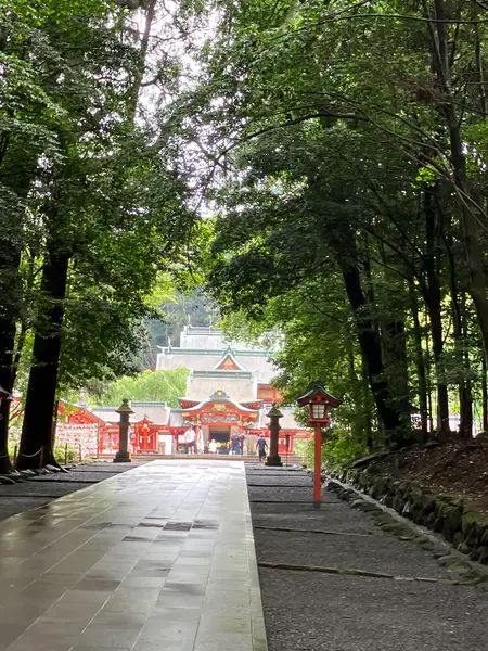 雨の中