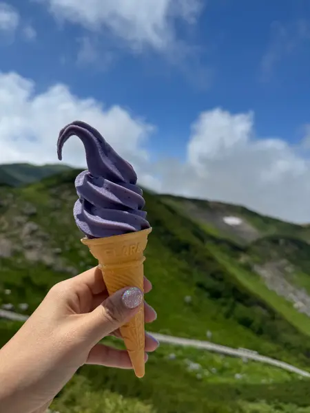 ブルーベリーのソフトクリーム