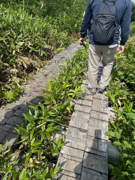 木道