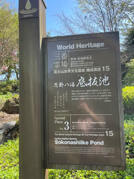 スポット内のおすすめ