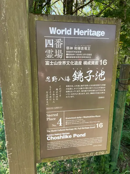 スポット内のおすすめ