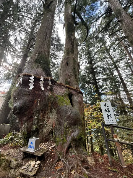 神秘的