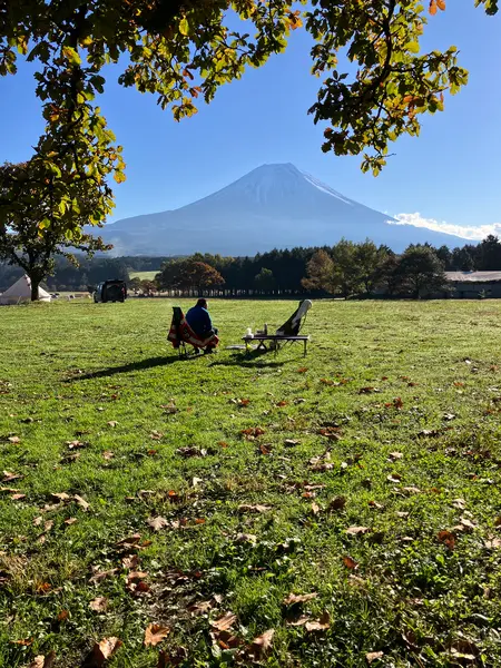 晴れた