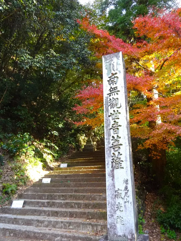 紅葉の参道