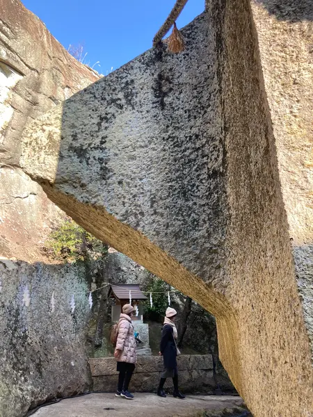 しかもこんな形…なんだこりゃ❓
