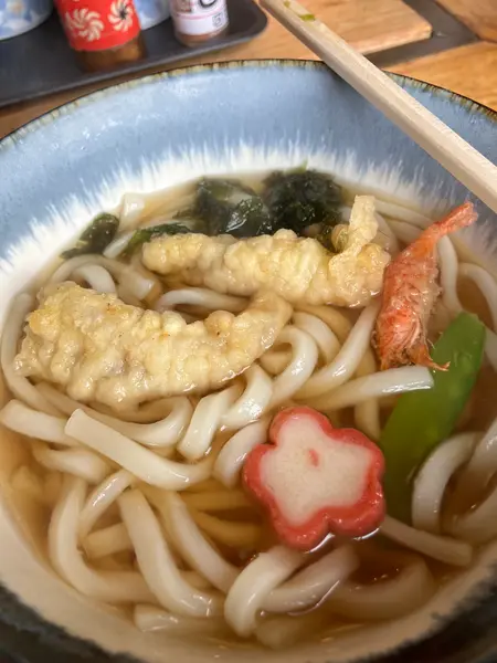 舞鯛天うどん
