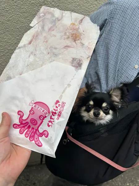 あさひ本店