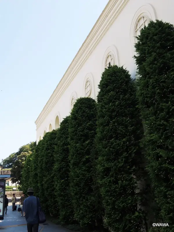 山手迎賓館の壁と植木横を通過