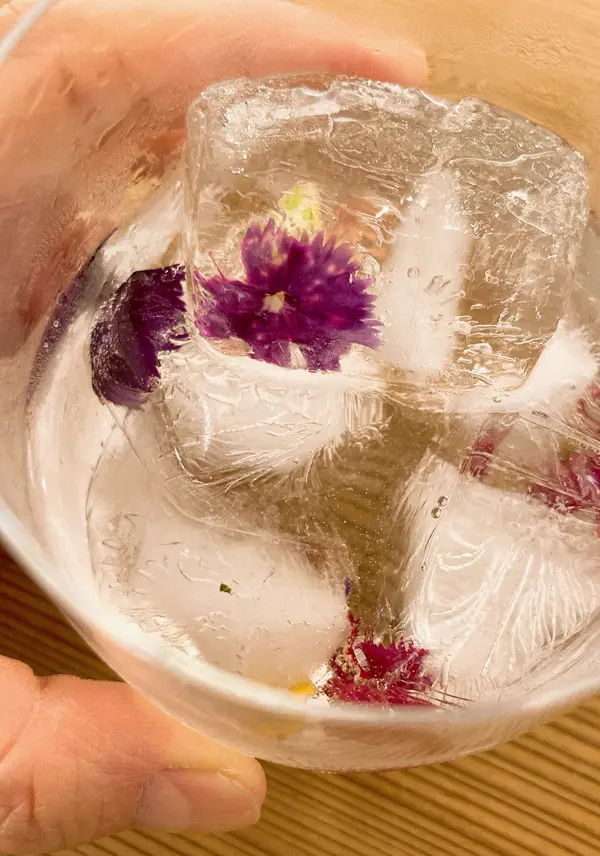 おすすめはかわいい日本酒カクテル