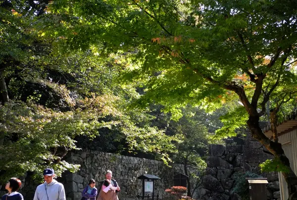 彦根城の写真・動画_image_27541