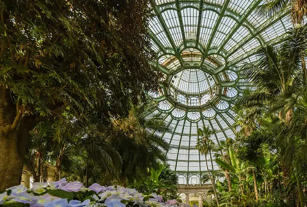 Royal Greenhouses of Laekenの写真・動画_image_571700