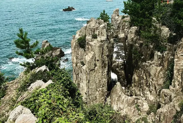 ローソク岩の写真・動画_image_1179777