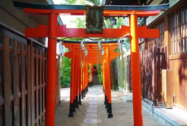堀越神社(大阪)の写真・動画_image_96622