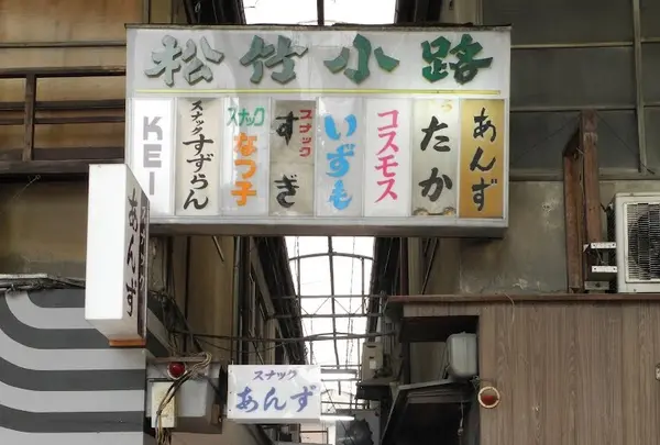 飲み屋としての柳ケ瀬商店街の写真・動画_image_19148