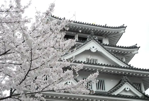 墨俣城の周囲も桜でいっぱい