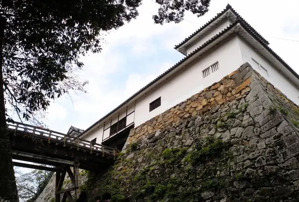 彦根城の写真・動画_image_27536