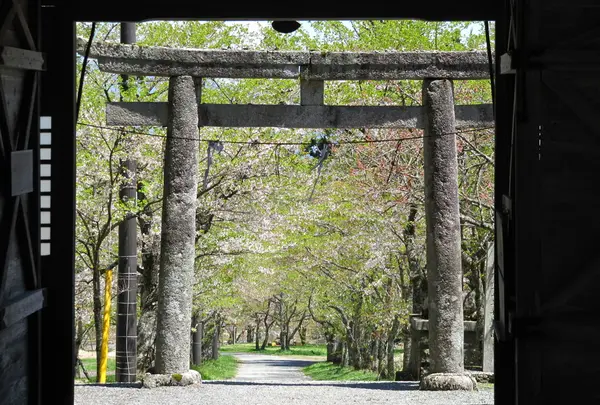 茅部神社の大鳥居の写真・動画_image_132468
