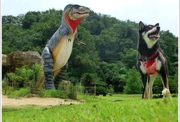 笠岡　恐竜公園