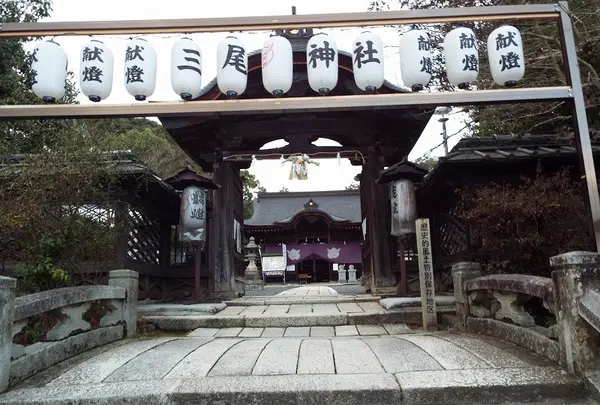三尾神社の写真・動画_image_188316