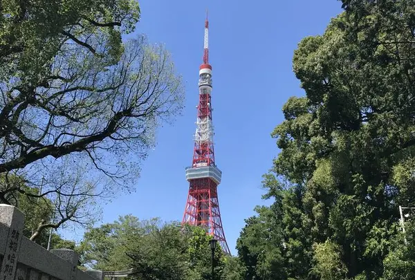 東京タワーの写真・動画_image_694855