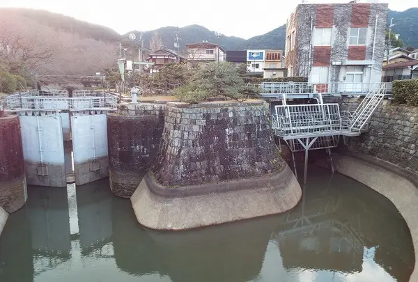 琵琶湖疏水の写真・動画_image_188324