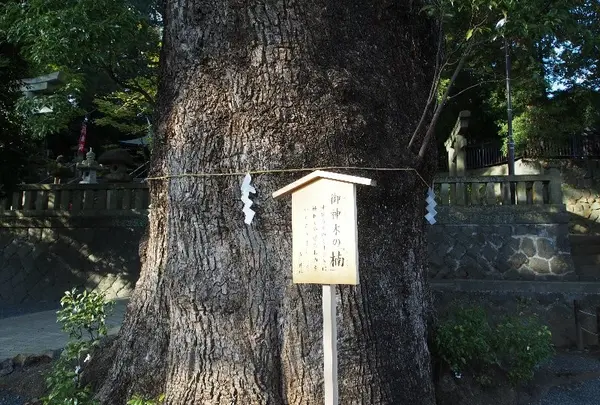 五所神社の写真・動画_image_20539