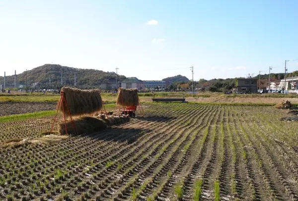 田園地帯かと思ったら