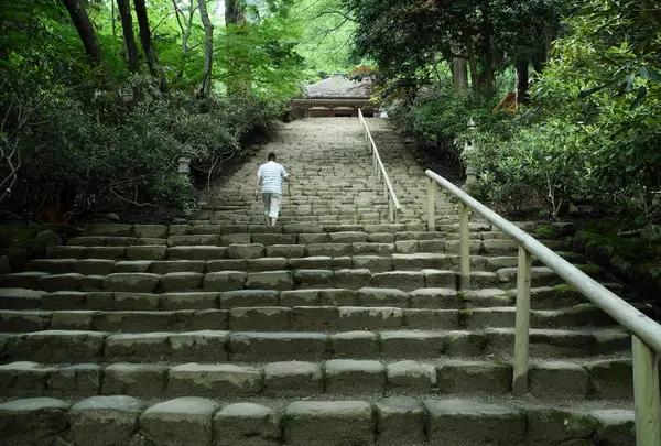 室生寺の写真・動画_image_27115